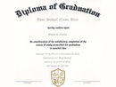 Stock Diploma - Complete